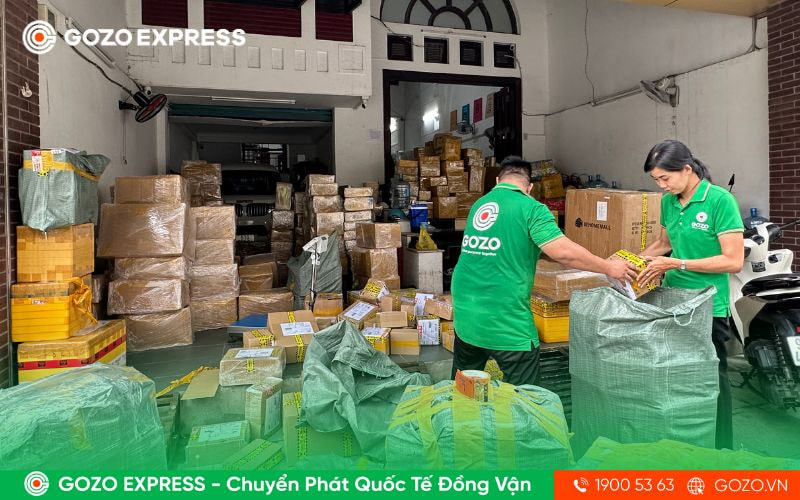 GOZO vận chuyển quốc tế bằng đường biển và hàng không