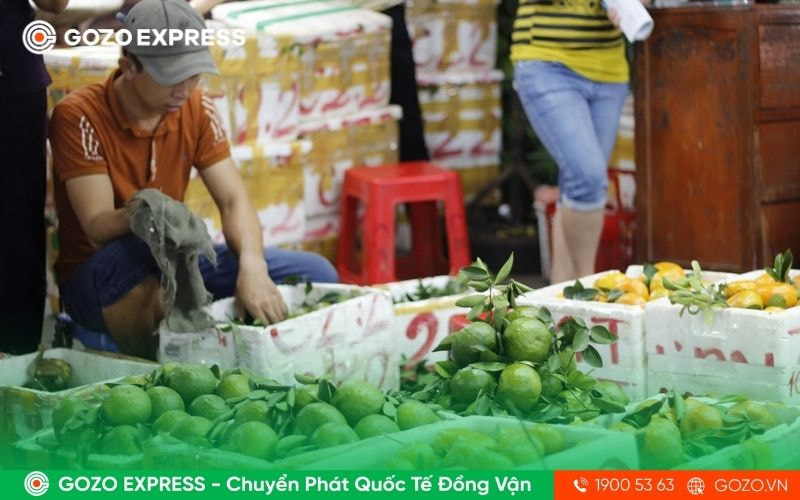 cho-dau-moi-trai-cay