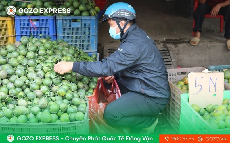 cho-dau-moi-trai-cay