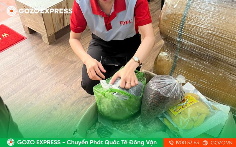 Công ty vận chuyển quốc tế FIDEL Logistics
