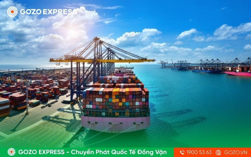 gozo-express-ra-mat-tuyen-moi-sea-canada
