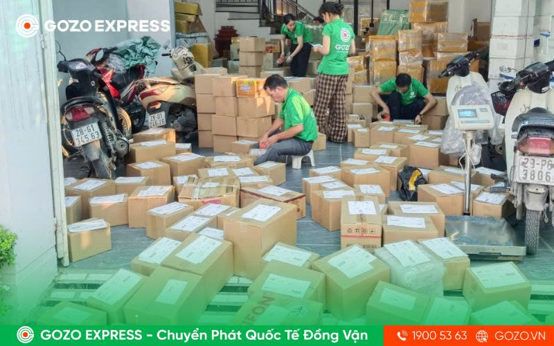 GOZO Express cam kết mang đến dịch vụ gửi hàng đi Hàn nhanh chóng