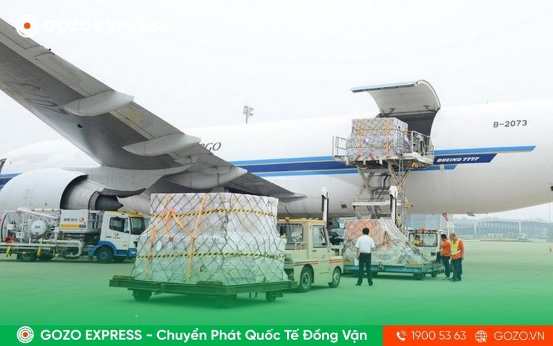 gui-thuoc-di-dai-loan