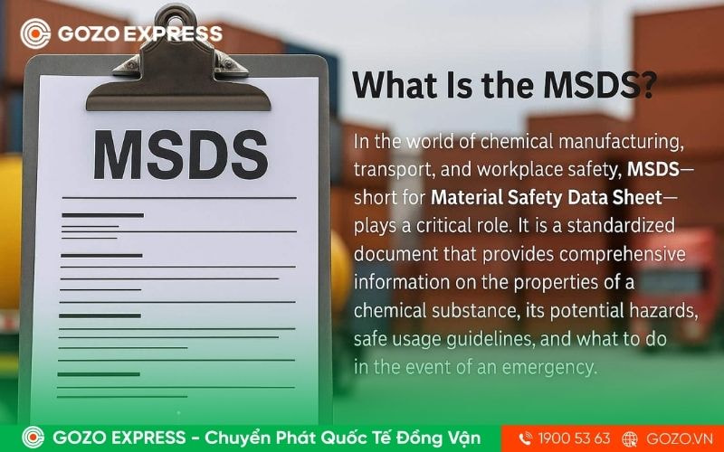 msds-la-gi