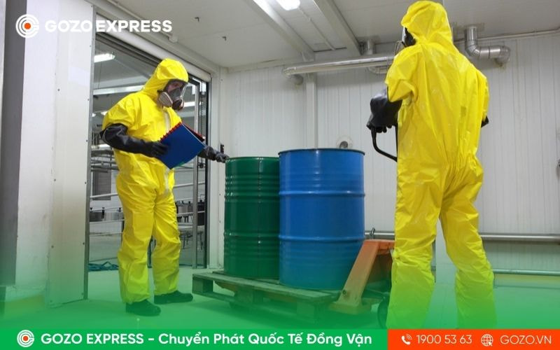 msds-la-gi