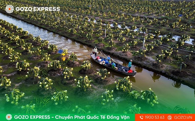 quy-trinh-xuat-khau-trai-cay-tuoi