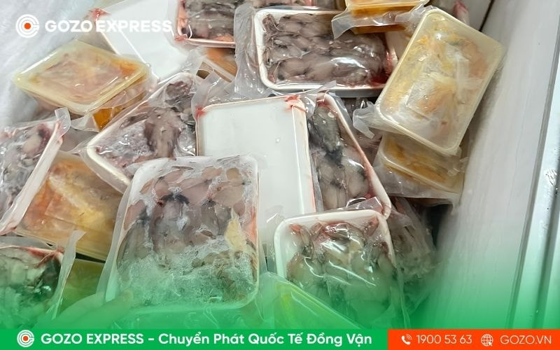 van-chuyen-hang-dong-lanh-quoc-te