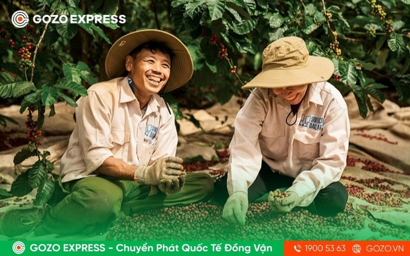 xuat-khau-nong-san-sang-eu