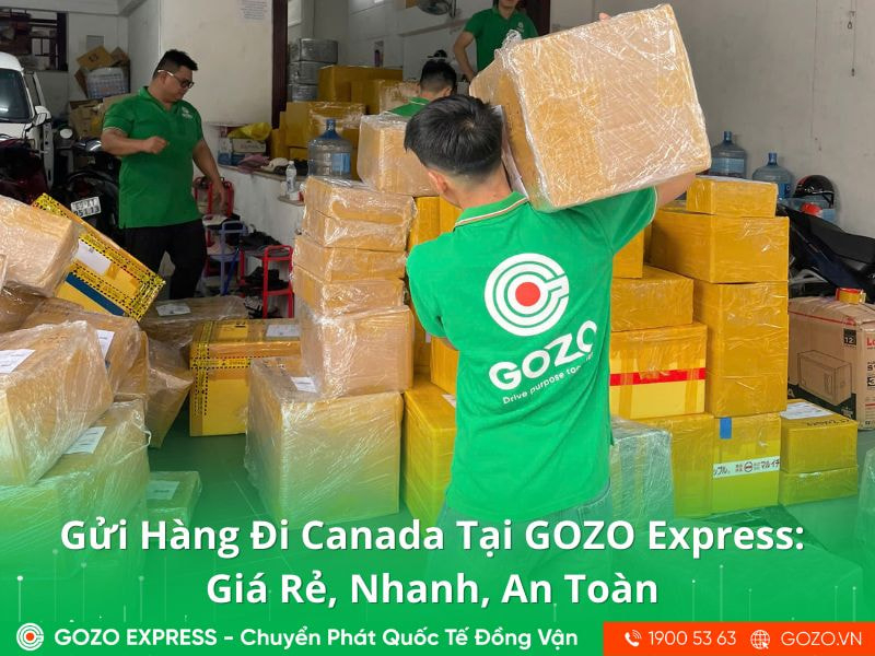 Gửi Hàng Đi Canada Tại GOZO Express: Giá Rẻ, Nhanh, An Toàn
