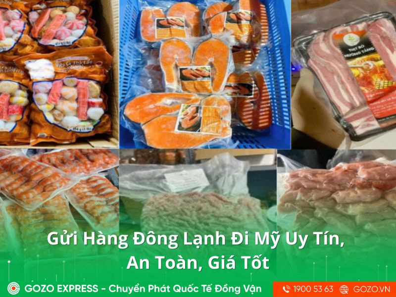 Gửi Hàng Đông Lạnh Đi Mỹ Uy Tín, An Toàn, Giá Tốt Tại GOZO Express