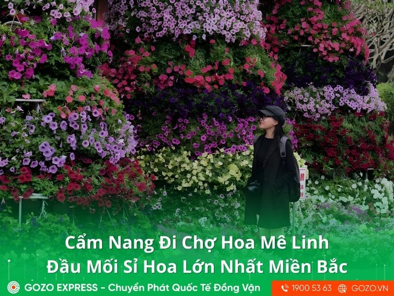Cẩm Nang Đi Chợ Hoa Mê Linh: Đầu Mối Sỉ Hoa Lớn Nhất Miền Bắc