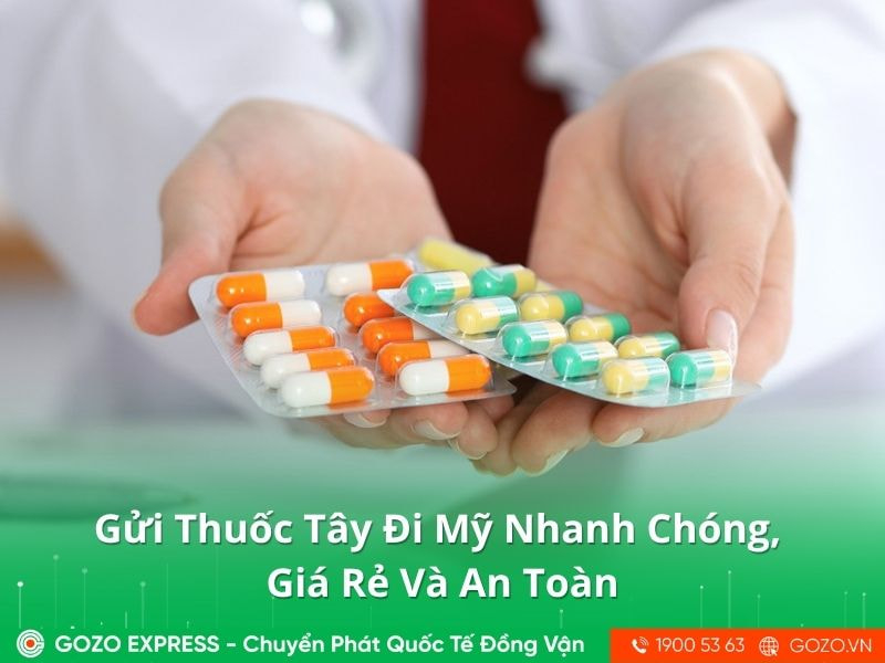 Gửi Thuốc Tây Đi Mỹ Nhanh Chóng, Giá Rẻ Và An Toàn