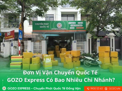 Đơn Vị Vận Chuyển Quốc Tế GOZO Express Có Bao Nhiêu Chi Nhánh?
