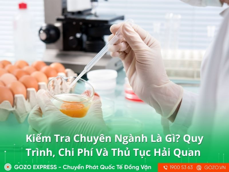 Kiểm Tra Chuyên Ngành Là Gì? Quy Trình, Chi Phí Và Thủ Tục Hải Quan Mới Nhất