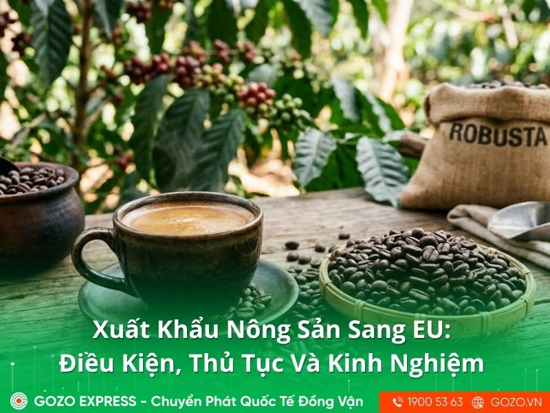 Xuất Khẩu Nông Sản Sang EU: Điều Kiện, Thủ Tục Và Kinh Nghiệm Mới Nhất