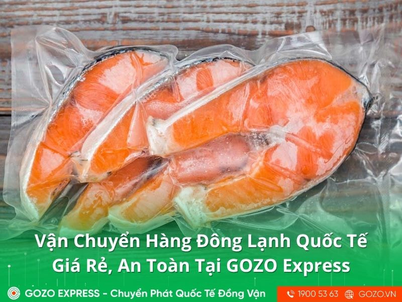 Vận Chuyển Hàng Đông Lạnh Quốc Tế Giá Rẻ, An Toàn Tại GOZO Express