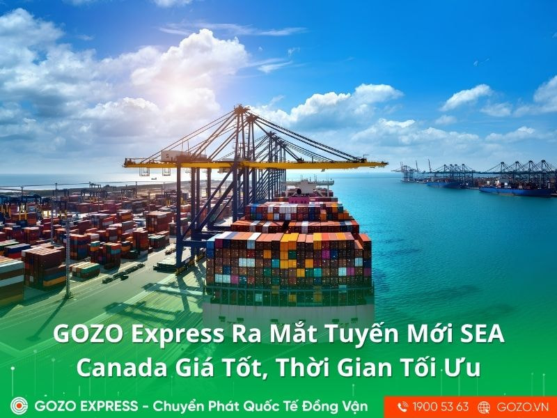 GOZO Express Ra Mắt Tuyến Mới SEA Canada Giá Tốt, Thời Gian Tối Ưu